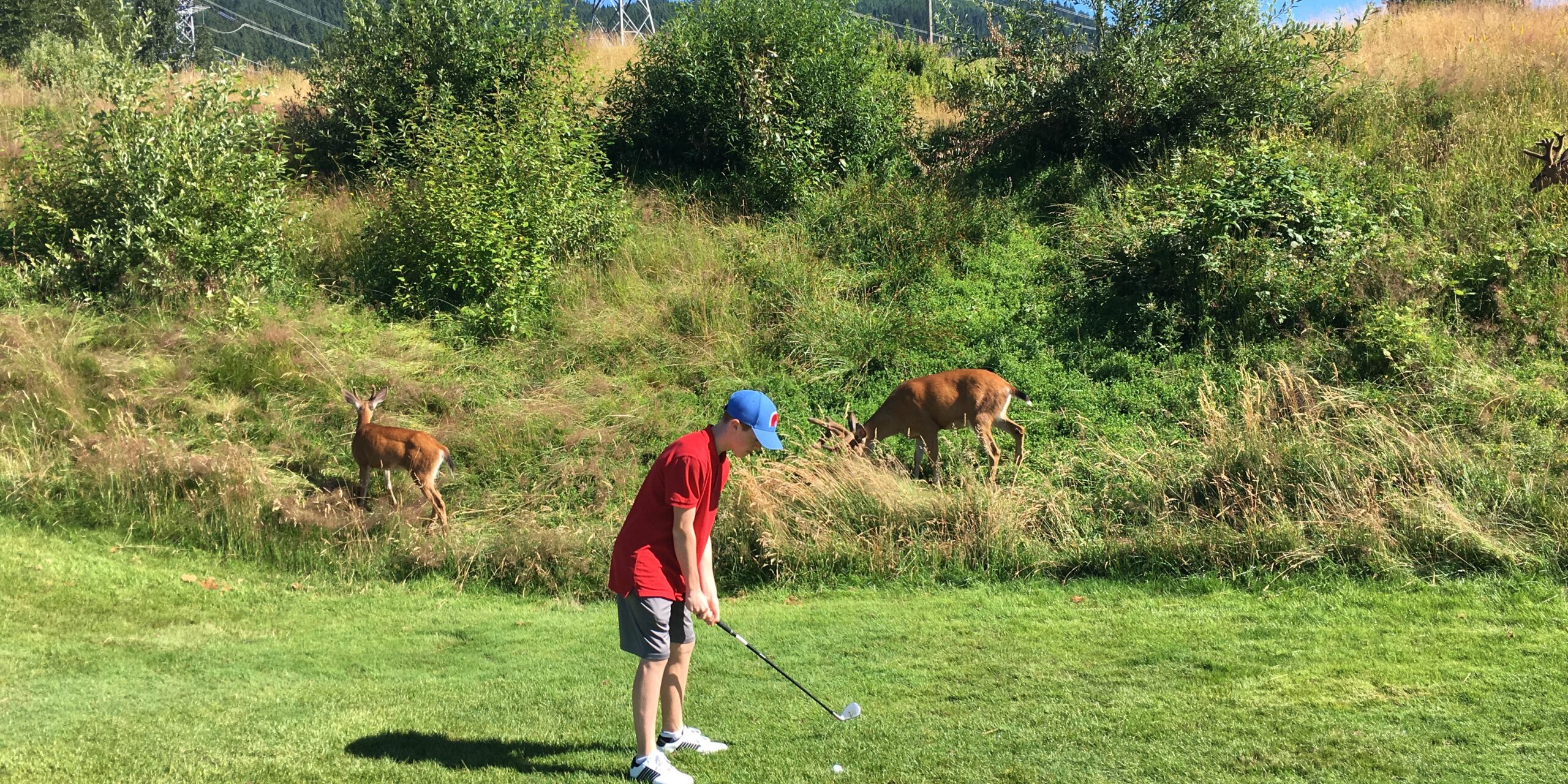 PRIVATE LESSON JUNIOR GOLFER  LAGO GOLF ACADEMY